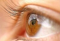 Стволовые клетки помогут восстановить зрение