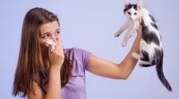 Аллергия на пыль: как помочь организму
