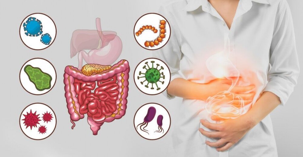 Причины и лечение дисбактериоза кишечника