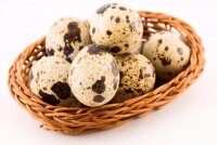 Перепелиные яйца – ключ к молодости и здоровью