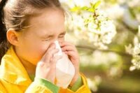 Как вылечить аллергический ринит у ребенка: виды насморка, его симптомы и признаки, схема лечения медикаментами и народными средствами