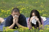 Распространенные аллергические реакции и виды аллергии